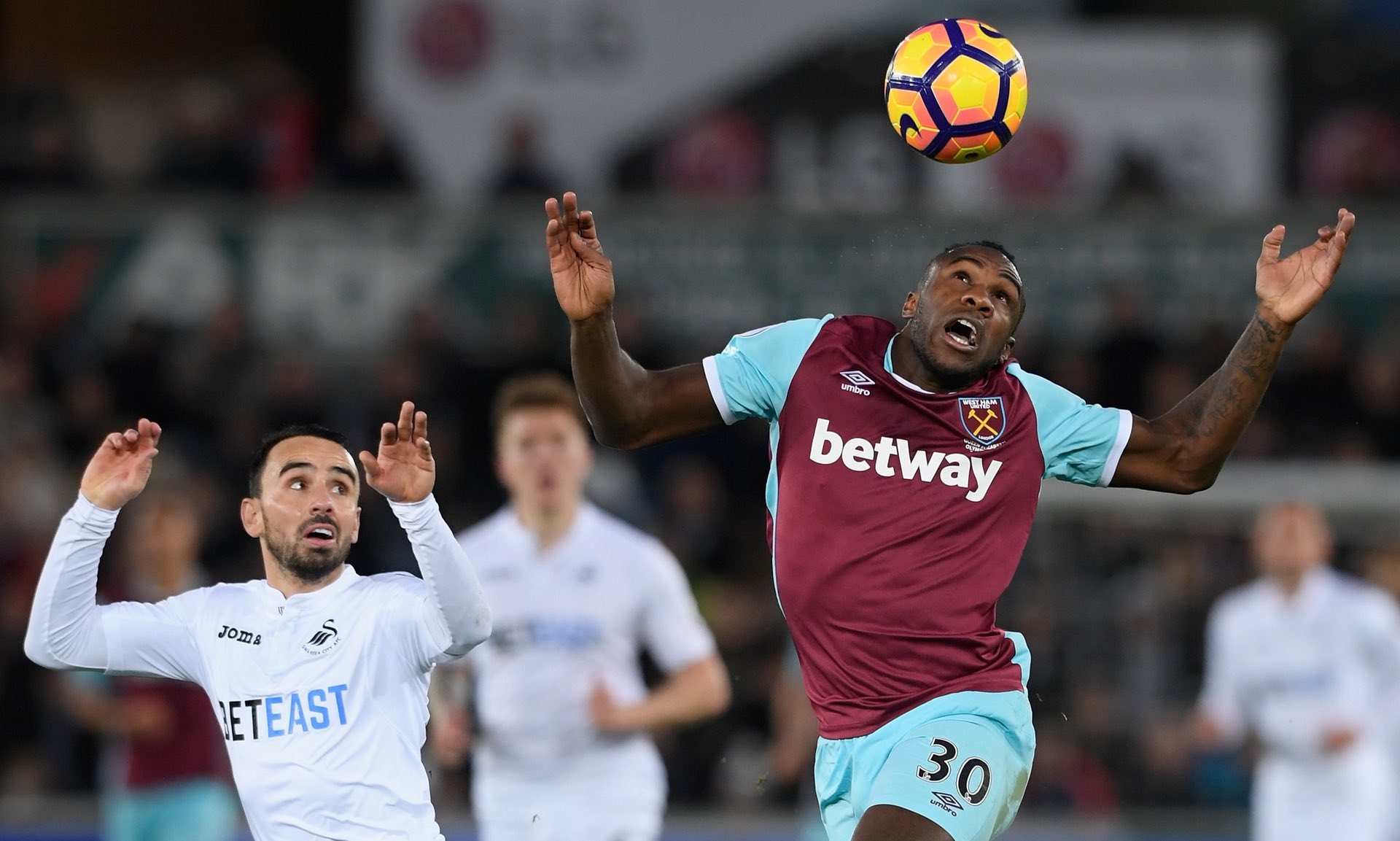 狼在篮板球 狼在篮板球